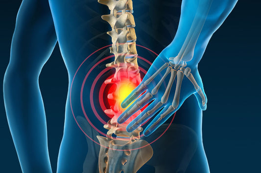James Waslaski's Treating Low Back Pain, SI Joint Pain & Sciatica